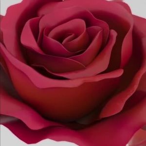 Meet your Posher, Eloida